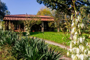 Villa Bel Giardino Gavorrano